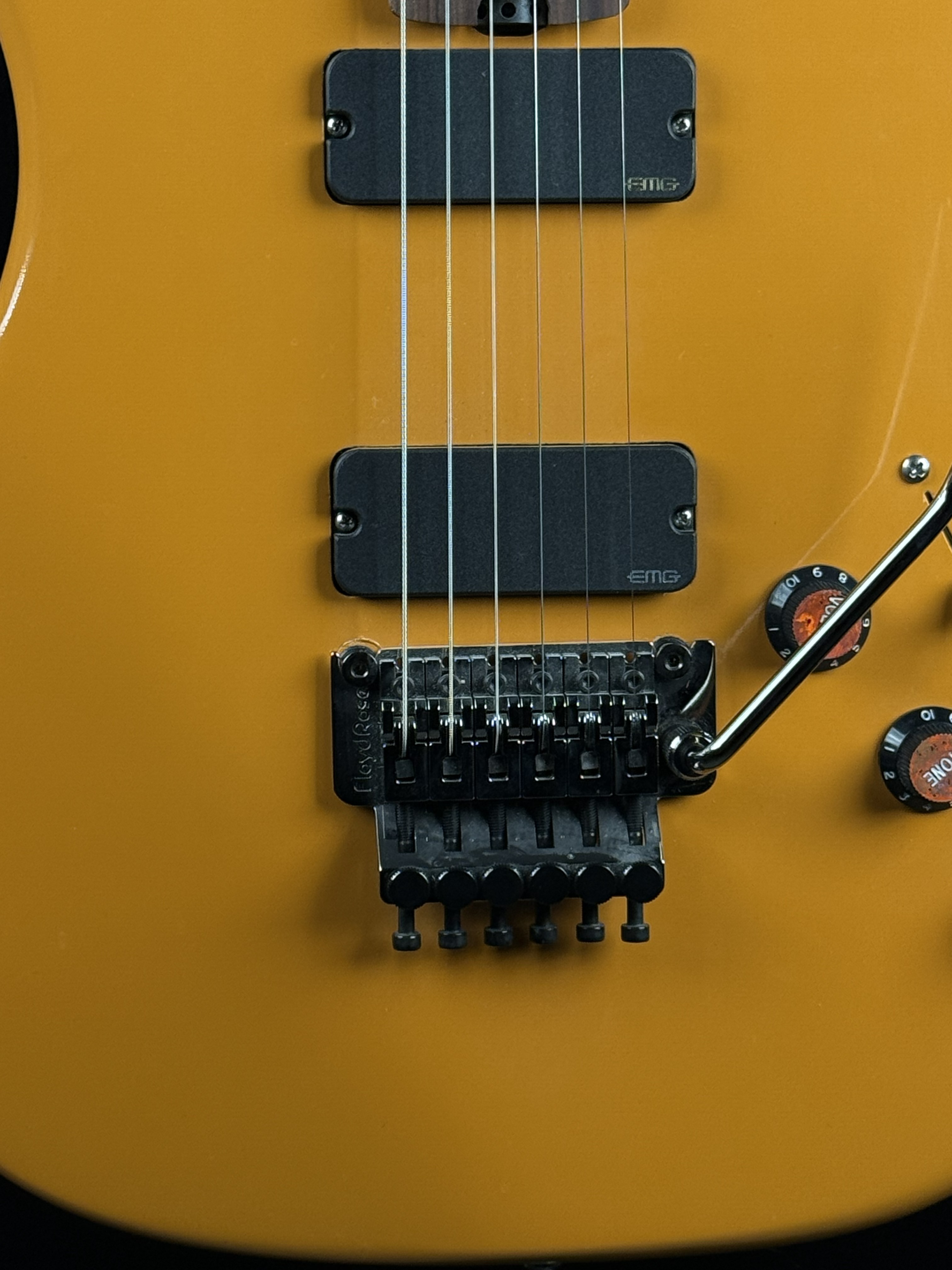 EMG pickups and bridge